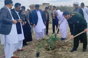 کاشت نهال به مناسبت روز درخت کاری در نیکشهر