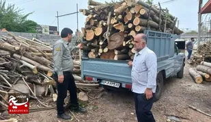کشف چوب جنگلی قاچاق در آمل