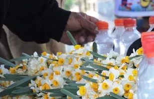 عطرافشانی قبور شهدای شهرستان فارسان