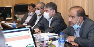 آرین پلاس هدف طرح احیا مرغ لاین ایرانی