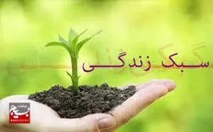 سبک زندگی غربی، سولوگامی و بحران خودشیفتگی