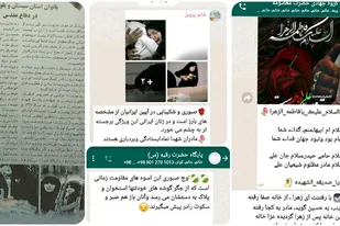 برگزاری نشست های مجازی در کنارک