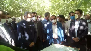 طرح مبارزه با آفت کرم خراط الگو شد