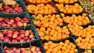 تامین ۷۰۰ تن سیب و پرتقال برای شب عید در گلستان