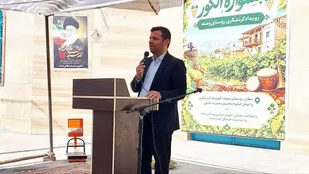 توسعه اقتصاد روستایی در کبودراهنگ در گرو برندسازی و صنایع تبدیلی