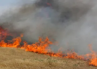 پنج هکتار از مراتع طبیعی ایلام در آتش سوخت