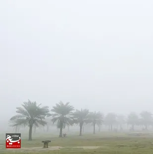 هشدار نارنجی مه و کاهش دید برای خوزستان