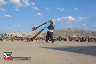 آئین ۲۰۰۰ ساله بیل گردانی در نیم&zwnj;ور