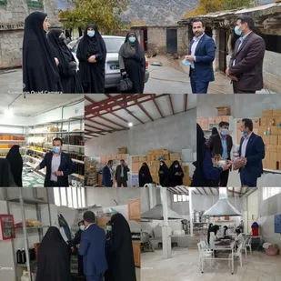 مشکلات کارگاههای تولیدی کارآفرینان برتر ناحیه دنا بررسی شد