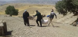 توزیع ۸۷۵ کیسه آرد رایگان بین عشایر نیازمند ملکشاهی