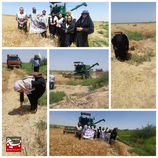 محرومیت زدایی توسط جهادگران هویزه در دهه بسیج سازندگی