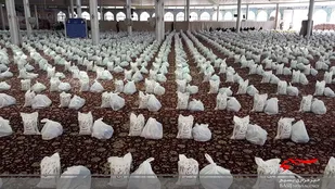 چهارمین مرحله رزمایش کمک مومنانه در اراک