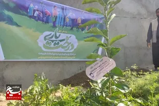 کاشت ۴۰۰ اصله نهال مثمر توسط گروه جهادی سپهبد شهید حاج قاسم سلیمانی و بنیاد علوی در شهرستان خنج