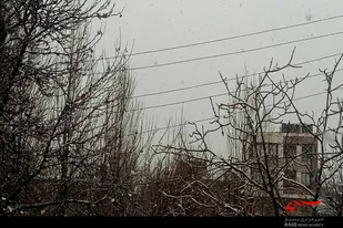چتر برفی آسمان بر سر ملایر گسترده شد