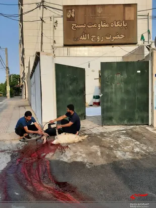 ذبح گوسفند توسط پایگاه مقاومت بسیج حضرت روح اله حوزه کربلا