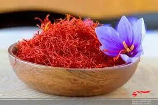 توسعه کشت زعفران در سایه حمایت های بسیج سازندگی آذربایجان غربی