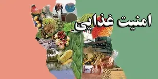 امنیت غذایی به معنای دسترسی پایدار همه افراد جامعه به غذای سالم، کافی و مغذی است