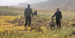خدمت رسانی به مردم الویت اصلی برنامه های بسیج می باشد