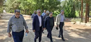 تقدیر نماینده مجلس از تولید نهال گونه بومی درشهرستان سمنان&nbsp;