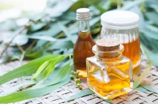 طب سنتی اثر بخشی داروهای طب رایج را بیشتر می&zwnj;کند