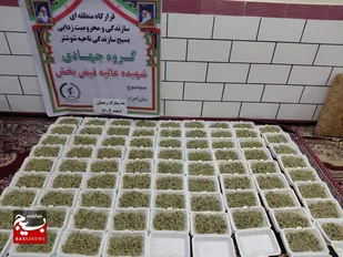 سایه امنیت باهمت گروه های جهادی بسیج در شوشترحلقه وصل می شود