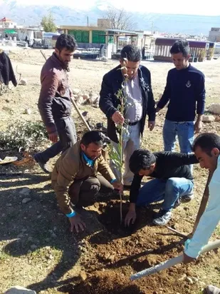 کاشت نهال با همت گروه جهادی در سردشت