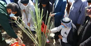 مقابله با ریزگردها و اشتغال از نتایج مهم کاشت 4500 اصله نخل در خرمشهر است