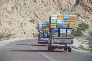 کوچ زنبورداران مراغه به استان&zwnj;های شمال غرب