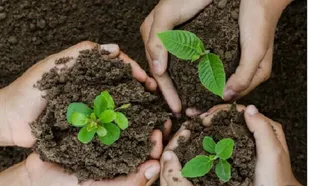 اجرای پویش عمومی &laquo;درخت دوستی بنشانیم&raquo; در تبریز