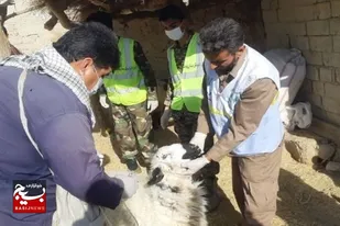 برگزاری اردوی جهادی دامپزشکی در مناطق محروم زهک