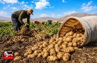 رشد سه برابری سرمایه گذاری در بخش کشاورزی خوزستان