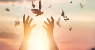 هیات موکب ولیة الله تبریز، ۷۲ زندانی را آزاد کرد