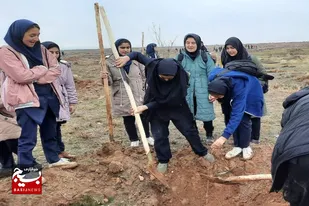 غرس ۵۰۰ اصله نهال توسط&nbsp; بسیجیان حوزه حضرت زهرا(س) کبودراهنگ