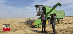 پیش&zwnj;بینی برداشت ۱۰ هزار و ۵۰۰ تن جو در گناباد