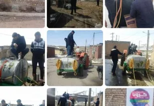 تلاش جوانان مسجدی برای مهار کرونا ستودنی است