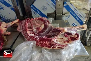 یه راس گوسفند در روستای مومن آباد در سرخه ذبح شد