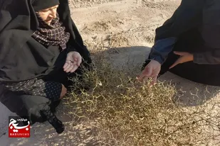 اردوی راهیان پیشرفت در سرخه برگزار شد