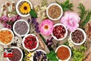 کارآفرینی نوین در ساوه/ ۵ سال زمان برای احیای سبک زندگی اسلامی با طب سنتی گذاشتم