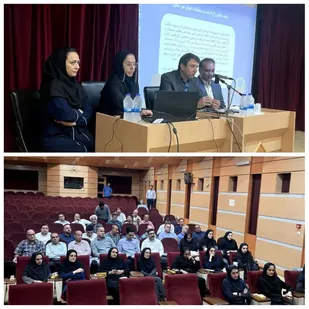 شناسه یکتا نقش مهمی در ثبت اطلاعات دقیق ، یکپارچه و قابل استناد دارد