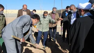 ۴۰ اصله نهال درخت در باغ بانوان دستگرد برخوار کاشته شد