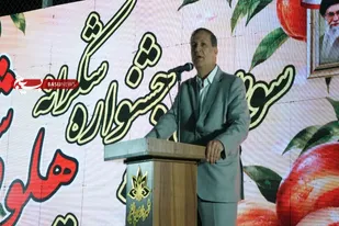اسدآباد، بازوی استراتژیک امنیت غذایی کشور / برنامه&zwnj;ریزی برای توسعه صنایع تبدیلی و گلخانه&zwnj;ها