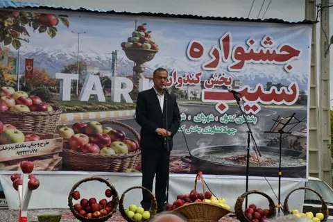 تکمیل زنجیره ارزش سیب، اولویت توسعه کشاورزی میانه است