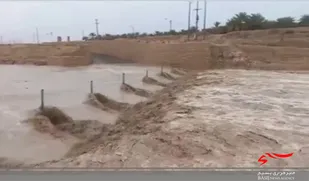 رگبارمونسون در تنگستان