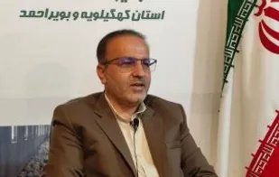 معتمدی پور: کیفیت مرغ های منجمد تضمینی است