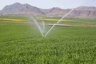 بهره&zwnj;برداری از۶۰ پروژه کشاورزی طی هفته دولت در همدان
