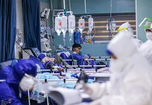 مجموع جانباختگان کرونایی در استان بوشهر ۳ رقمی شد