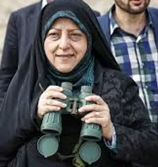 ابتکار ریزگردها را ریز می بیند!