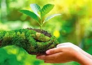 واحدهای تولیدی صنعتی ملزم به ارائه خوداظهاری در پایش خاک هستند