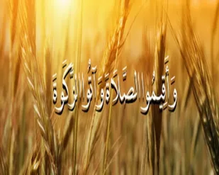 جمع آوری چهارمیلیارد و 600 میلیون زکات در ایوان
