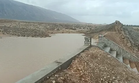 دکترمحمد رضا رضایی کوچی: اجرای پروژه سنگی ملاتی صغاده توسط بسیج سازندگی فارس